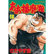 ああ播磨灘(18)（講談社） [電子書籍]