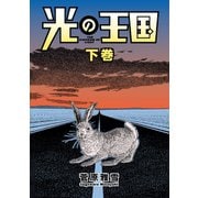 光の王国(下巻)（講談社） [電子書籍]