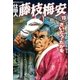 仕掛人藤枝梅安 19 （SPコミックス） [電子書籍]