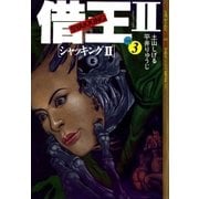 借王II(3)（リイド社） [電子書籍]