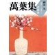 萬葉集釋注〈9〉巻第十七・巻第十八（集英社文庫） [電子書籍]