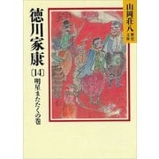 徳川家康（14） 明星瞬くの巻（講談社） [電子書籍]