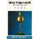 素粒子論の世界－物質と空間の窮極に挑む（講談社） [電子書籍]