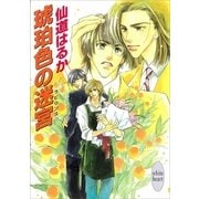 琥珀色の迷宮（講談社） [電子書籍]