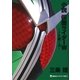 小説 仮面ライダーW―Zを継ぐ者（講談社キャラクター文庫） [電子書籍]