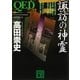 QED 諏訪の神霊（講談社文庫） [電子書籍]