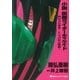 小説仮面ライダーディケイド―門矢士の世界 レンズの中の箱庭（講談社キャラクター文庫） [電子書籍]