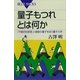 量子もつれとは何か―「不確定性原理」と複数の量子を扱う量子力学（講談社） [電子書籍]