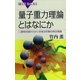 量子重力理論とはなにか―二重相対論からかいま見る究極の時空理論（講談社） [電子書籍]