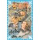 三国志〈5〉大願の巻（講談社青い鳥文庫） [電子書籍]