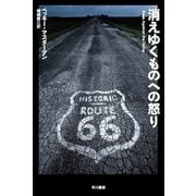 消えゆくものへの怒り（ハヤカワ・ミステリ文庫） [電子書籍]
