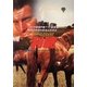 利腕―競馬シリーズ（ハヤカワ・ミステリ文庫） [電子書籍]