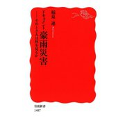 ドキュメント豪雨災害―そのとき人は何を見るか（岩波新書） [電子書籍]