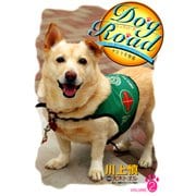Dog Road VOLUME.2-セラピードッグチロリの物語 （秋田書店） [電子書籍]
