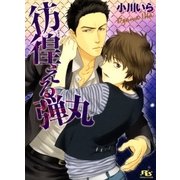 彷徨える弾丸（幻冬舎コミックス） [電子書籍]