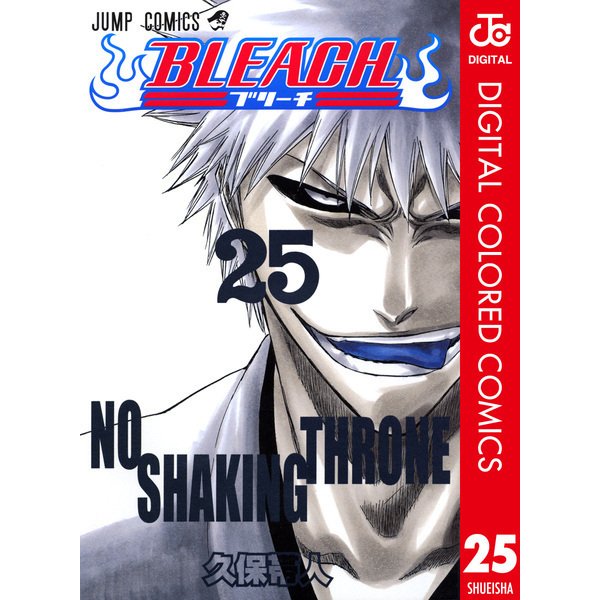 BLEACH カラー版 25（ジャンプコミックス） [電子書籍]