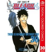 BLEACH カラー版 30（ジャンプコミックス） [電子書籍]