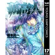 孤高の人 17（ヤングジャンプコミックス） [電子書籍]