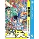 聖闘士星矢 9（集英社） [電子書籍]