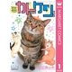 猫☆カトちゃんケンちゃん（マーガレットコミックス） [電子書籍]