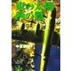 東の太陽 西の鷲 (10)（学研） [電子書籍]