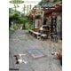 遊々さんぽ 「式根島 Vol.03」（PAD） [電子書籍]