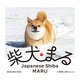柴犬まる【ミニ写真集付き 電子特別版】（KADOKAWA） [電子書籍]