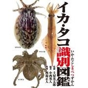 イカ・タコ識別図鑑（KADOKAWA） [電子書籍]
