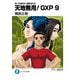 真・天地無用！魎皇鬼外伝 天地無用！GXP 9（KADOKAWA） [電子書籍]