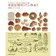 今日は何のパン作る？ cuocaオリジナルレシピ集（KADOKAWA LifeDesign） [電子書籍]