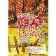 東海ウォーカー特別編集 紅葉のトンネル&じゅうたん感動の45景（KADOKAWA） [電子書籍]
