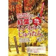 東海ウォーカー特別編集 紅葉のトンネル&じゅうたん感動の45景（KADOKAWA） [電子書籍]