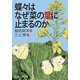 蝶々はなぜ菜の葉に止まるのか（KADOKAWA） [電子書籍]