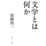 文学とは何か（KADOKAWA） [電子書籍]