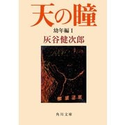 天の瞳 幼年編I（KADOKAWA） [電子書籍]