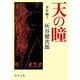 天の瞳 少年編I（KADOKAWA） [電子書籍]
