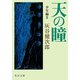 天の瞳 少年編II（KADOKAWA） [電子書籍]