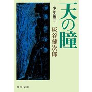 天の瞳 少年編II（KADOKAWA） [電子書籍]