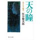 天の瞳 あすなろ編II（KADOKAWA） [電子書籍]