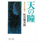 天の瞳 あすなろ編II（KADOKAWA） [電子書籍]