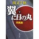 翼に日の丸(下) 閃風篇（KADOKAWA） [電子書籍]