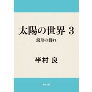 太陽の世界 3 飛舟の群れ（KADOKAWA） [電子書籍]