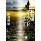 お台場アイランドベイビー（KADOKAWA） [電子書籍]