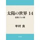 太陽の世界 14 豪族たちの朝（KADOKAWA） [電子書籍]