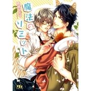 魔法のリミット（幻冬舎ルチル文庫） [電子書籍]