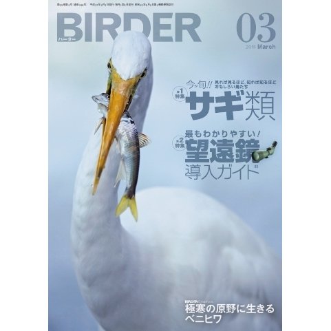 BIRDER(バーダー) 2015年3月号（文一総合出版） [電子書籍]