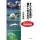 すべての生命は海から生まれた どきどきわくわく動物愛情物語（PHP研究所） [電子書籍]