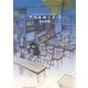 アオイホノオ 5（少年サンデーコミックス） [電子書籍]