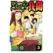 こわしや我聞 3（小学館） [電子書籍]