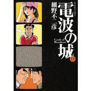 電波の城 13（ビッグコミックス） [電子書籍]